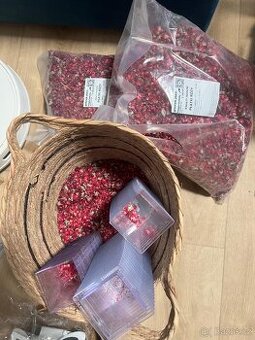 Sušené plátky růže cca 2kg