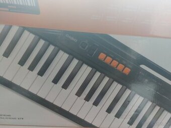 CASIO CT-S100