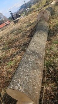 Třešeň, Jasan = kmen