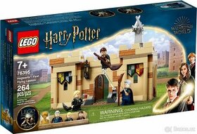 LEGO® Harry Potter™ 76395 Bradavice: první hodina létání LE - 1