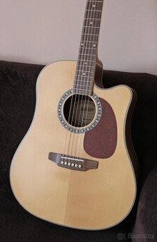 Elektroakustika Ashton D55SCEQ NTM