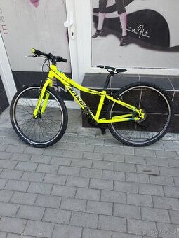 Kolo Maxbike