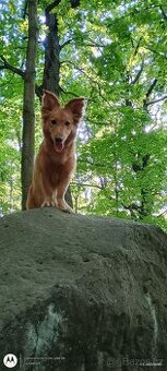 Daruji do dobrých rukou