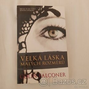 Kniha Colin Falconer