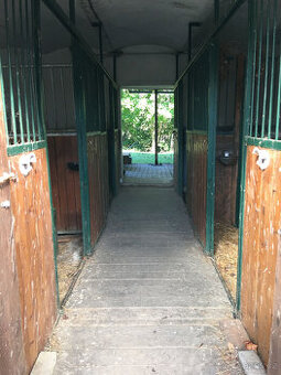 Nabízíme volné místa - ustájení 12/12