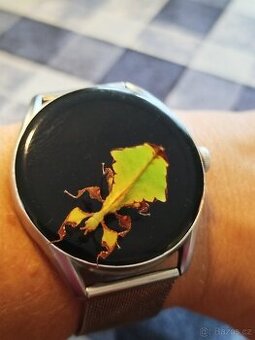 strašilka lupenitá