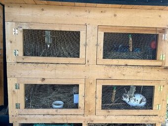 Temer nová velká králíkárna 4K