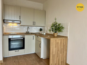 Pronájem zrekonstruovaného bytu 1+kk, ul. Francouzsk, 134087