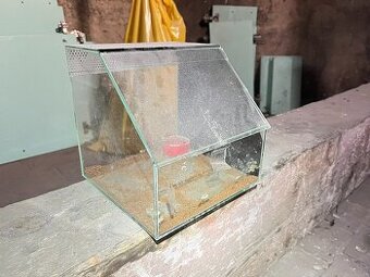 Terárium pro pavouky a jiné