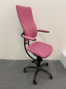 Kancelářská židle Spinalis Apollo (zdravotní)