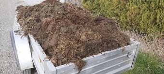 Prodám koňský hnůj - mohu i dovézt