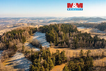 Prodej lesa, 12140 m², Nišovice