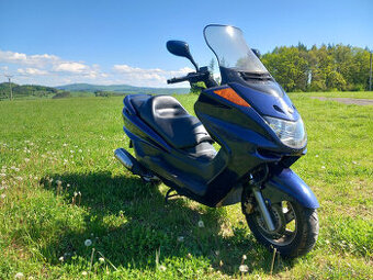 Yamaha 250 r.v.2001