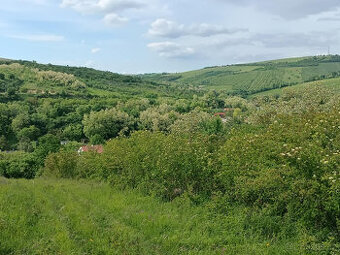Kurdějov