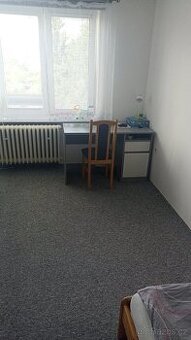 Pronajmu pokoj 2 lůžkový