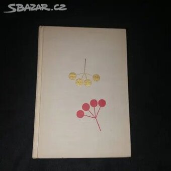 kniha- říkali mi Leni - 1