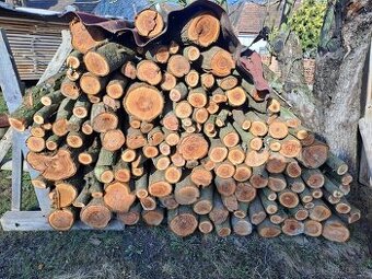 Švestkové dřevo na uzení
