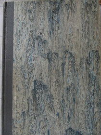 Alfred Assollant - Hrdiný kapitán Korkorán