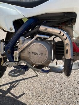 Pitbike dorado 110