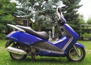 Dily Honda Pantheon 150