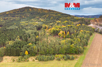 Prodej lesa, 39171 m², Ježovy