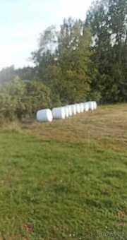 Letošní balíky senaze