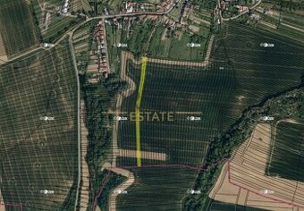 Orná půda v k.ú. Vřesovice - 1