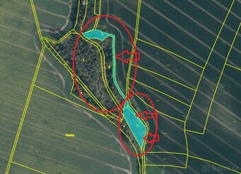 Prodám lesní pozemky v k.ú. Radouň