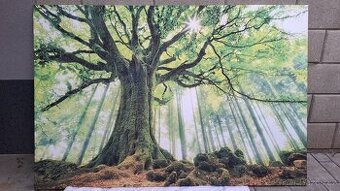 Obraz na plátně "Green Giant", 150x100 cm