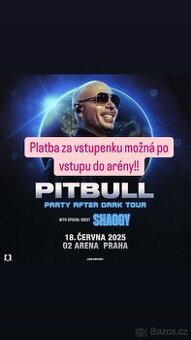 Pitbull Praha