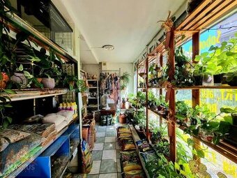 Pronájem obchodních prostor (chovatelské potřeby), Praha 3 -