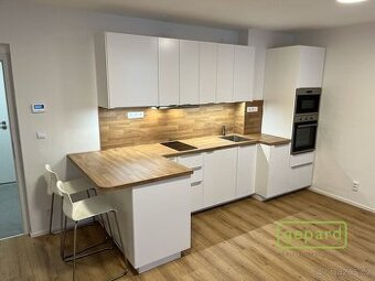 Pronájem 1kk, 28m2, Pod Barvířkou, Praha 5 - Smíchov