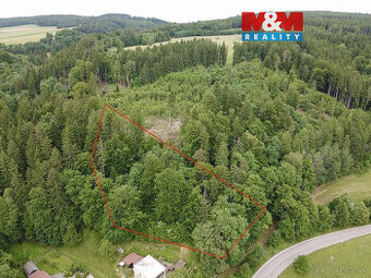 Prodej lesa, 2745 m², Ústí nad Orlicí - 1