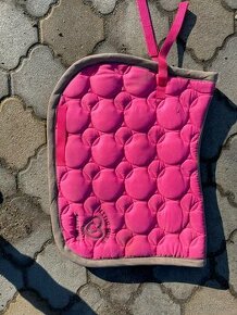 Úklid sedlovny - i výměna