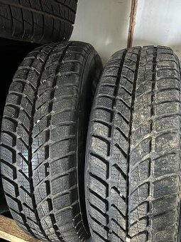 Zimní pneu 175/70 R13