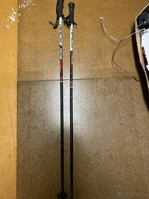 lyžařské hůlky 110 Cm