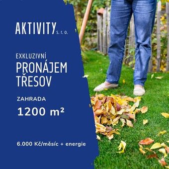 Pronájem krásné zahrady s kůlnou v Třesově, 2 km pláž - 1