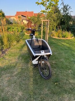 Cargo kolo Urban Arrow Family