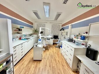 Pronájem zavedených ordinací Havlíčkova, Plzeň