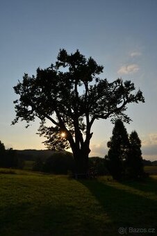Pozemek/dům v Dolní Dobrouči - 1