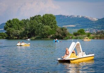 Hledáme brigádníci