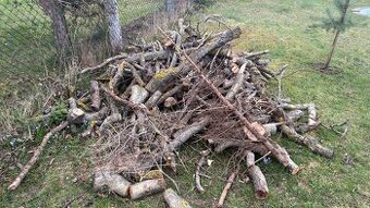 Daruji dřevo za odvoz