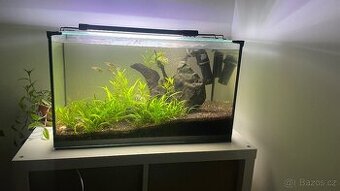 Akvárium s vybavením 60 l