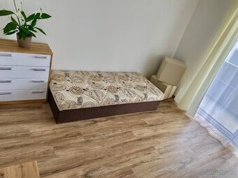 Pronajmu samostatný pokoj s terasou