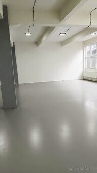 Pronájem nově zrekonstruovaných obchodnîch prostor 150 m2 - 1