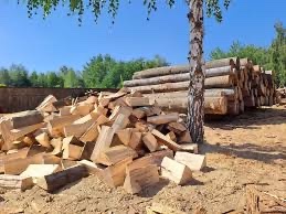 🔥 Tvrdé palivové dříví – výprodej + doprava ZDARMA 🔥 ‼️