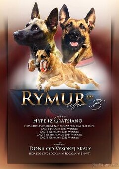 Belgický ovčák - Malinois s PP