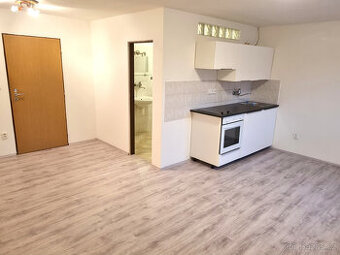 Pronájem bytu 1+kk, 32 m2, P10-Uhříněves, ul. Netluky, 2.NP,