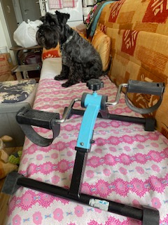 Na rehabilitaci po operaci dolních končetin