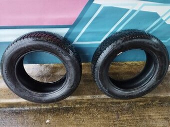 Zimní pneu 195/65/15 Sáva